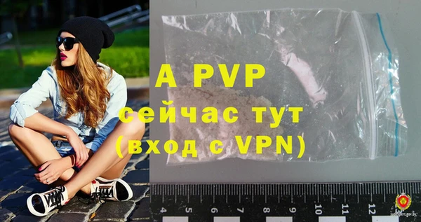 гашик Зеленокумск