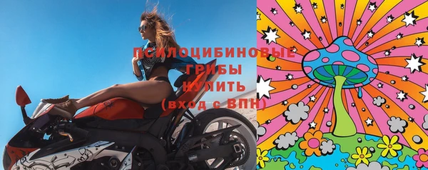 гашик Зеленокумск