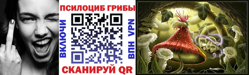 Псилоцибиновые грибы Psilocybe  Пролетарск 